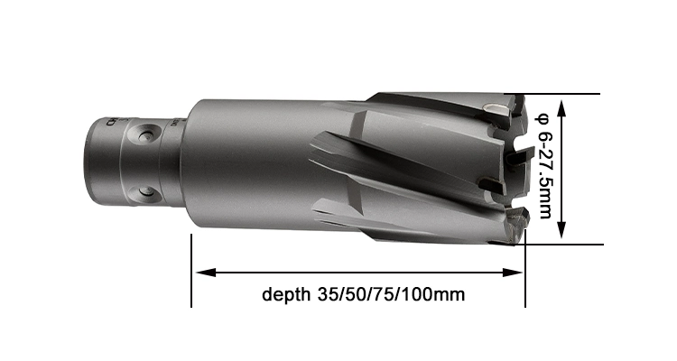 Chinese Factory Tct Fein Quick-in Shank 50mm Magnetic Cutting Tool