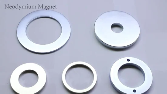 Segmentmagnet Neodym-Magnet Ferritmagnet Kundenspezifischer Magnet für Car-Audio
